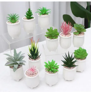 Detailed close-up of mini artificial succulent plants in white ceramic pots for decor.