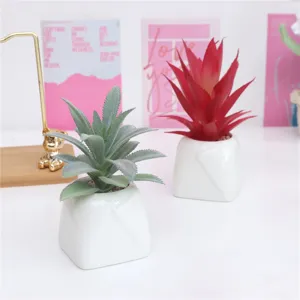 Piante grasse artificiali in vaso di ceramica bianca per decorazione della casa e ufficio.