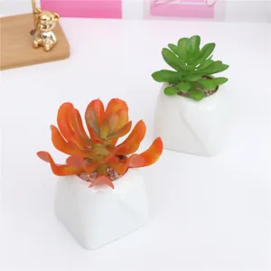 Pianta succulenta artificiale in vaso di ceramica, decorazione per la casa e regalo perfetto.