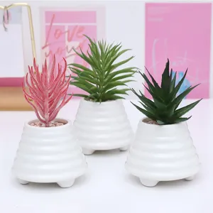 Set di piante grasse artificiali in vaso per ufficio casa decorazione bonsai