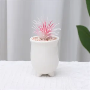 Mini artificial succulent potted plant white ceramic pot home office room desk decor green