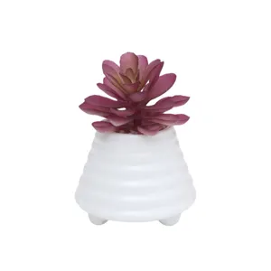 Pianta succulenta artificiale in vaso bianco scanalato per decorare casa e ufficio.