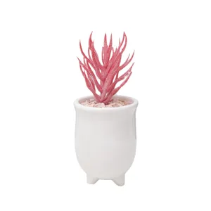 Mini artificial succulent potted plant with white ceramic pot and pink stones for home decor.