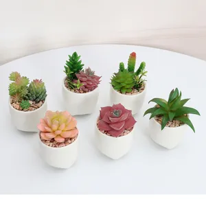 Set de 6 plantas suculentas artificiales en macetas de cerámica blanca para decoración de escritorio.