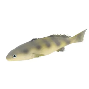 Pesce di simulazione PU modello animale marino giocattolo realistico persico finto