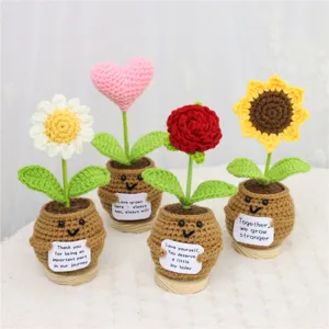 Handgemachte gehäkelte Topfblumen mit süßen Smiley-Töpfen und positiven Botschaftskarten.