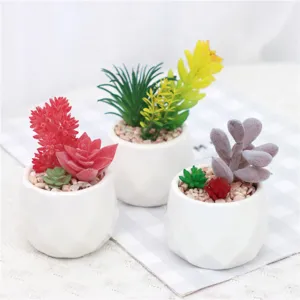 Conjunto de plantas suculentas artificiales macetas de cerámica blanca decoración de escritorio