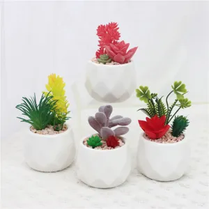 Plantas suculentas artificiales en macetas de cerámica blanca para decoración de interior.