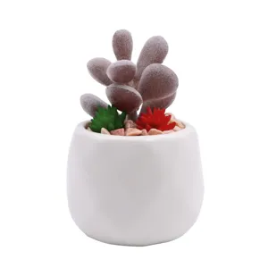 Planta suculenta artificial en maceta de cerámica blanca para decoración de hogar.