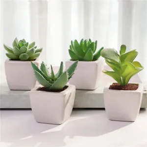 Set di Piante Succulente Artificiali in Vaso con Vaso di Ceramica Bianca Piante Finte per la Decorazione della Casa