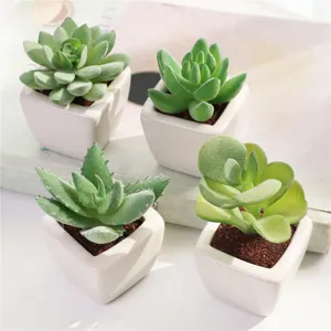 Pianta succulenta finta in vaso di ceramica mini decorazione da scrivania pianta verde set