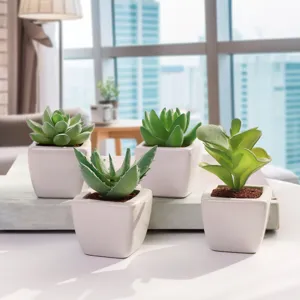 Piante succulente artificiali in vaso di ceramica bianca per la decorazione della casa