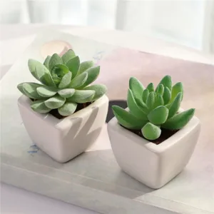 Piante succulente artificiali in vaso ceramica bianca, perfette per decorare la scrivania.