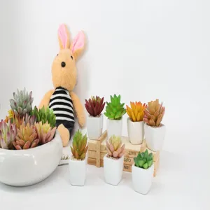 Artificial succulent potted plants in mini ceramic pots, creative DIY faux plant decor.