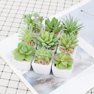 Mini ceramic pot artificial succulent bonsai set, perfect cute home and office desk decor.