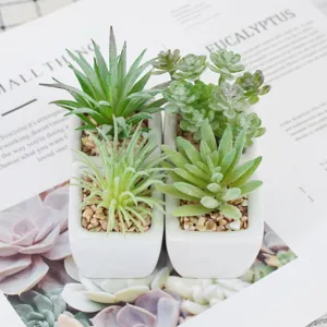 Mini artificial succulent potted plants in white ceramic pots with pebbles, perfect home decor.
