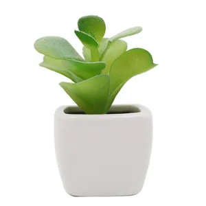 Pianta succulenta artificiale in vaso di ceramica bianca per decorazione ufficio.