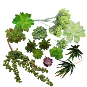 Plantas suculentas artificiales plantas falsas a granel para decoración del hogar DIY.