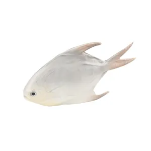 Modelo de pez artificial para decoración de acuario, juguete de animal marino realista para pecera.