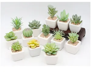 Mini keramische pot kunstmatige vetplant bonsai set, perfecte huisdecoratie planten.