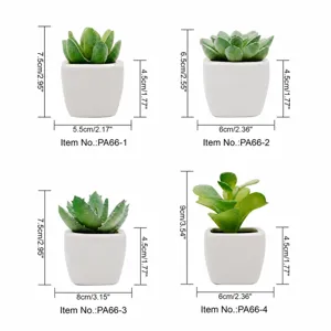Set di piante succulente artificiali in vaso di ceramica bianca con dimensioni.