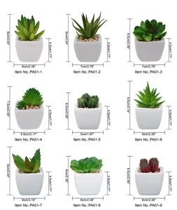 Mini keramische pot kunstmatige vetplant gedetailleerde afmetingen en stijlen overzicht.
