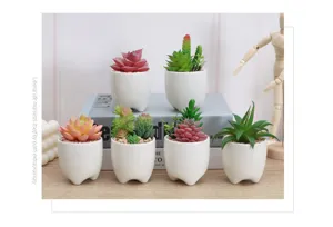 Plantas suculentas artificiales en maceta pequenos ceramica decoracion escritorio