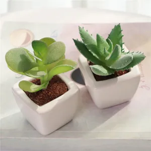 Primo piano di piante succulente artificiali in piccoli vasi di ceramica bianchi.