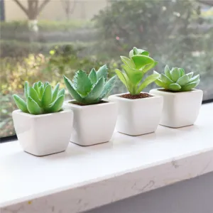 Set di piante succulente artificiali, mini vasi in ceramica per decorazione da tavolo.
