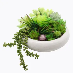Pianta succulenta artificiale in vaso di ceramica bianca, finta pianta verde per decorare.