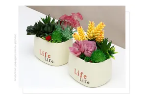 Detailed view of colorful artificial succulent potted plants, decorative fake plant bonsai.