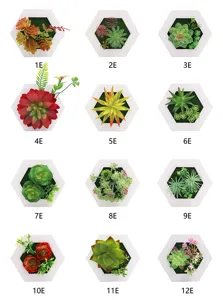 Vista dettagliata di cornici murali con succulente artificiali esagonali, vari stili disponibili.