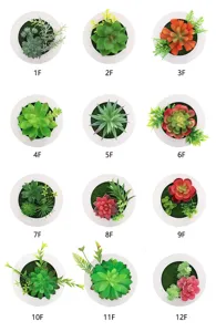 Piante succulente artificiali da parete in vasi rotondi bianchi per decorazione domestica.