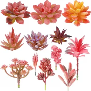 Künstliche Sukkulenten Pflanzen herbstliche künstliche Blumenköpfe für Heimdekoration