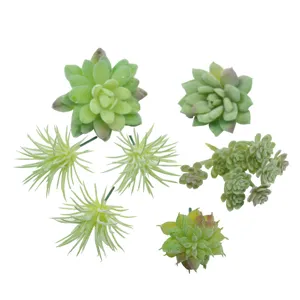 Artificial succulent plants set for DIY green wall home decor and indoor plant decoration.