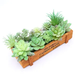 Set de plantas suculentas artificiales en maceta de madera vista principal display