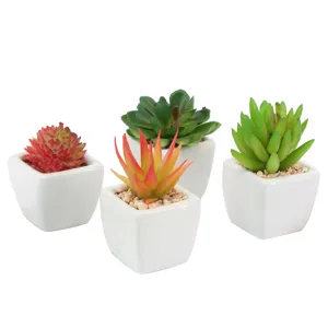 Mini kunstmatige vetplanten in witte keramische pot, perfecte huisdecoratie en bureaubonzai.