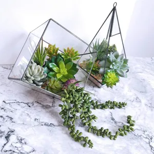 Terrario de vidrio geométrico con juego de plantas suculentas artificiales decoración.