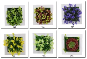 Dettaglio cornice per piante artificiali con vari stili di piante succulente verdi.