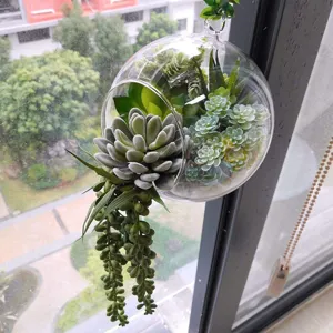 Vista detallada del terrario de cristal colgante con suculentas artificiales para la decoración.