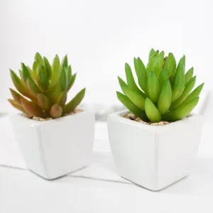 Mini ceramic pot artificial succulent bonsai creative DIY plant potted home decor wholesale