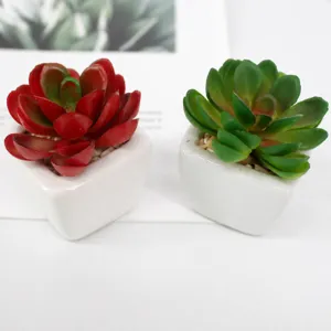 Mini artificial succulent potted plants set in white ceramic pots for modern home decor.