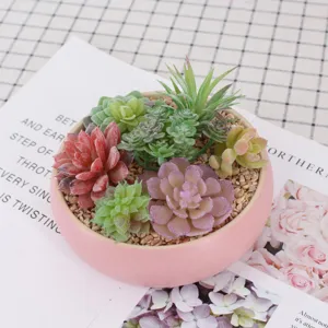 Set de plantas suculentas artificiales en maceta rosa, verde decorativo detalle hogar.