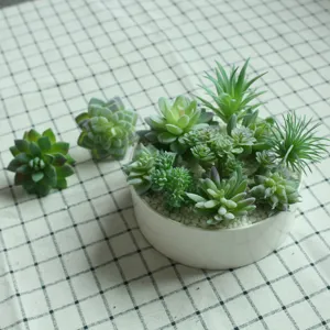 Artificial succulent plants set with white ceramic pot and loose faux succulent heads for decor.