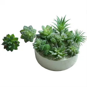 Set de plantas suculentas artificiales en maceta con tiesto blanco y hojas verdes.