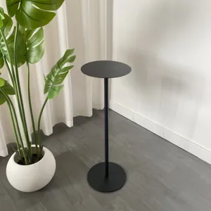 Minimalist black metal side table and plant stand featuring a sleek round top and base.