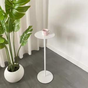 Minimalist white metal plant stand and side table detail showcasing slender modern legs.