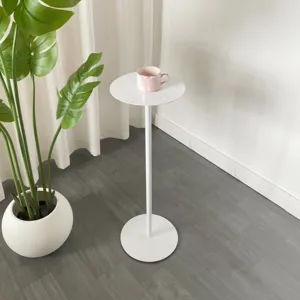 Nordic minimalist white metal floor-standing plant stand and flower rack for indoor living room decor