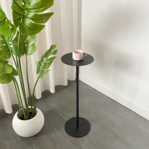 Minimalist black metal plant stand and side table for living room decor detail view.