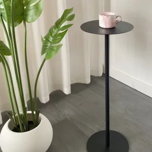 Nordic minimalist iron plant stand floor standing metal small side table living room